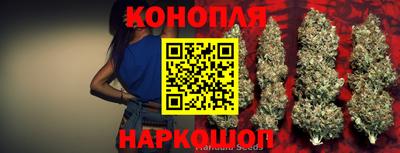 винт Владимир